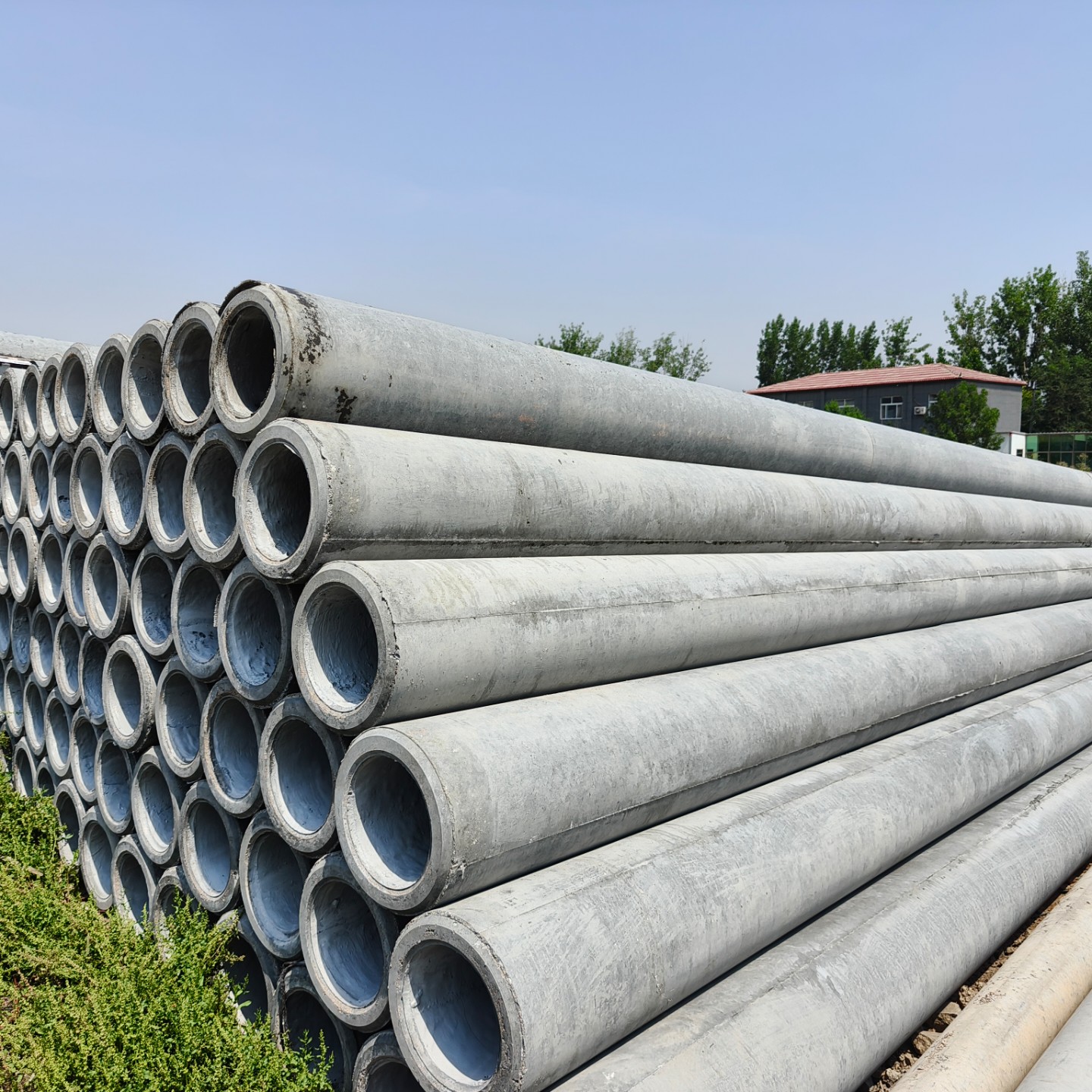 新都10米钢筋混凝土电杆